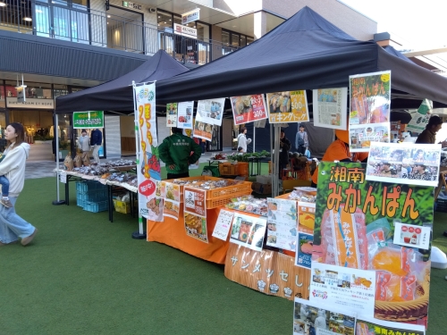 サンメッセしんわさんの販売のようす