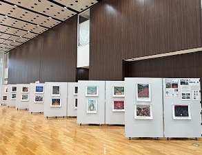 展示の様子