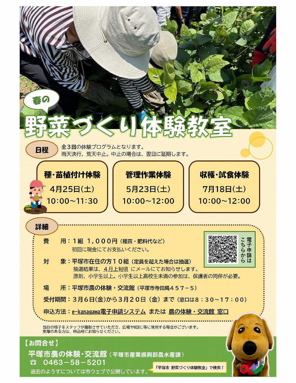 春の野菜づくり体験教室イベント、日時は全3回の体験で、1回目が4月25日土曜日、2回目が5月23日土曜日、3回目が7月18日土曜日。いずれも10時から2時間程度。費用は、1組1000円。対象は、平塚市在住の方10組が定員で、定員を超えた場合は抽選。場所は、農の体験・交流館。