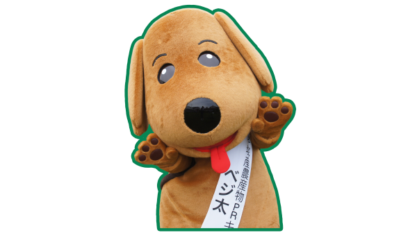 平塚産農産物PRキャラクターベジ太の着ぐるみ画像