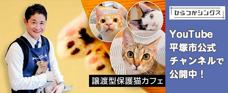 ひらつかシングスのページのリンク