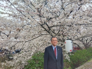 市長が渋田川桜まつりに出席する様子