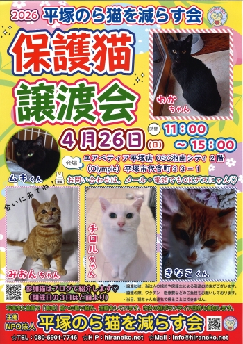 4月26日譲渡会のポスター画像