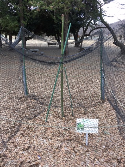 1月28日(月曜日)の写真