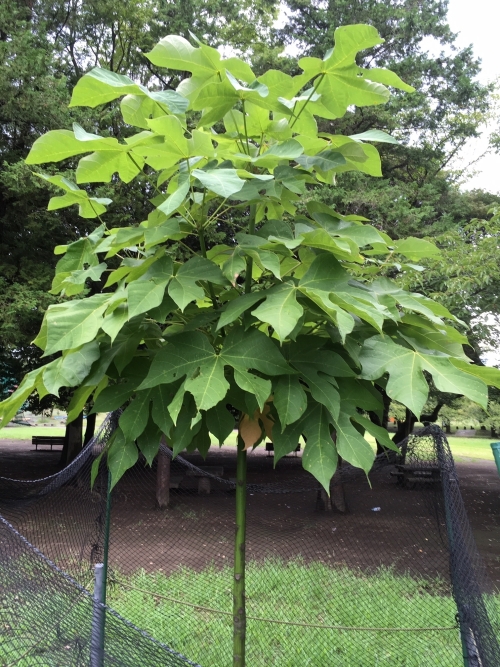 10月10日（木曜日）の写真