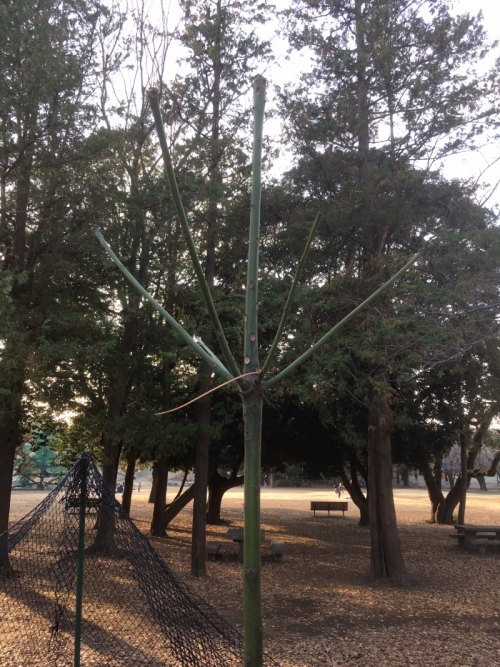 12月20日（金曜日）の写真