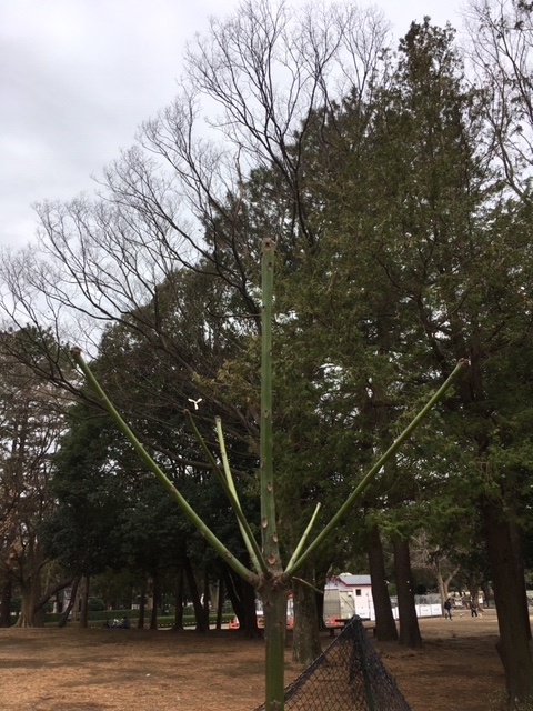 3月4日（水曜日） の写真