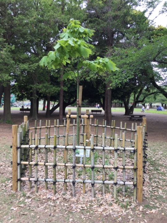 5月9日（土曜日） の写真