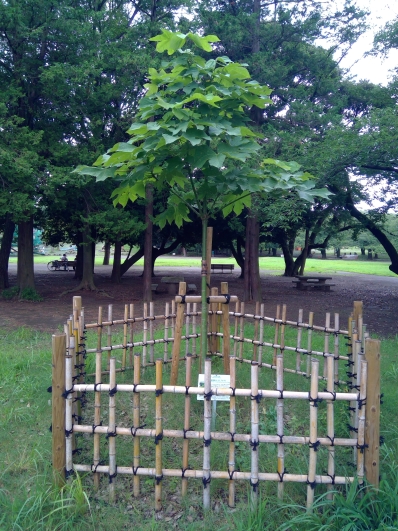 7月28日（火曜日）の写真