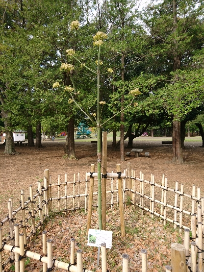 4月16日（金曜日）の写真