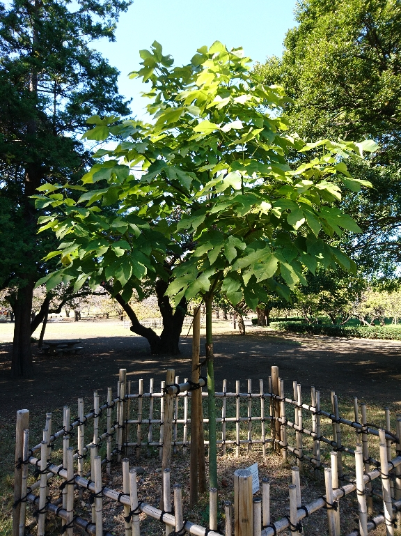10月26日（火曜日）の写真