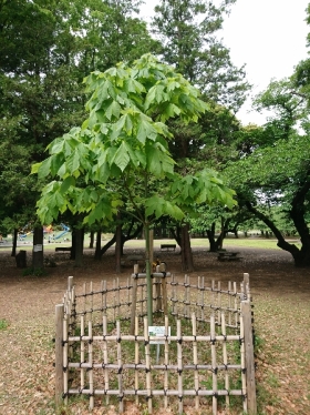 5月12日（木曜日）の写真