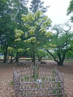 4月24日（月曜日）の写真