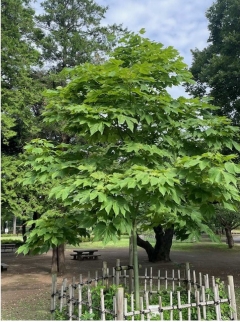 6月26日（水曜日）の写真