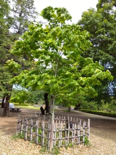 5月9日（土曜日）