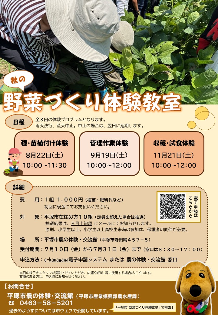 秋の野菜づくり体験教室募集のチラシ
