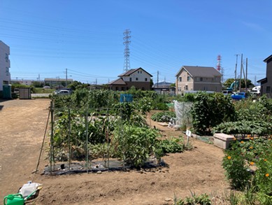 西真土市民農園の写真