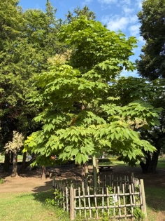 7月14日（火曜日）