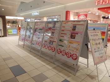 ららぽーと湘南平塚で開催したパネル展の写真1