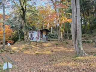 紅葉しているキャンプサイトの写真